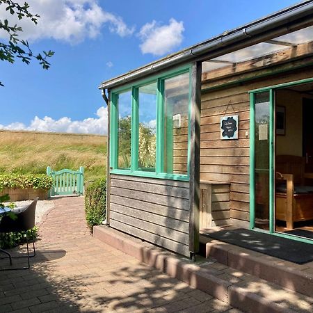 4 Pers Holiday Home Hilla With Winter Garden In Front Of The Dike Directly On The Lauwersmeer Anjum Eksteriør bilde